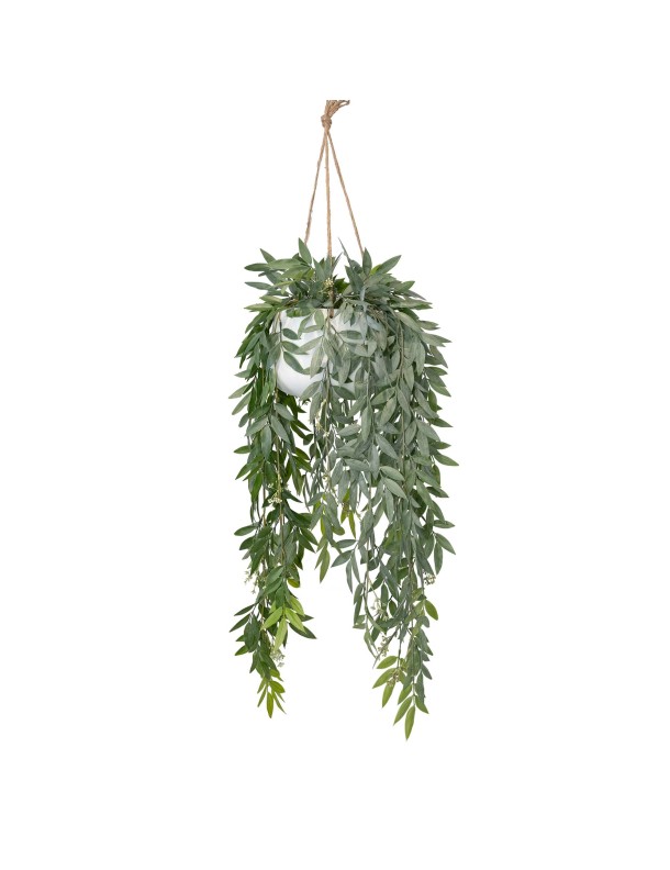 114CM RUSCUS BUSH IN HANGING PLANTER