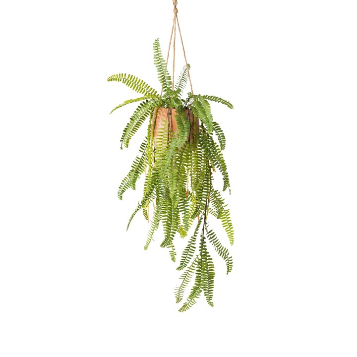 96CM RUFFLE FERN IN HANGING PLANTER