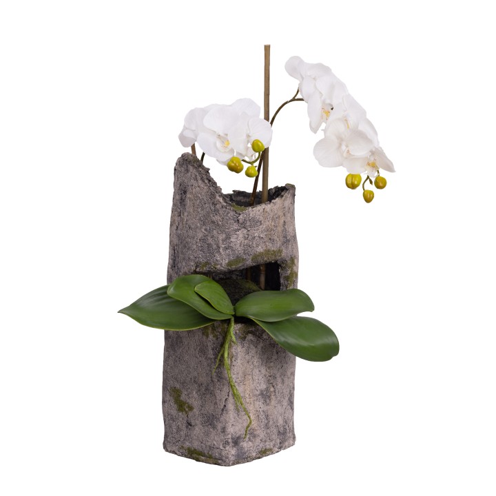 65CM ORCHID IN CEMENT