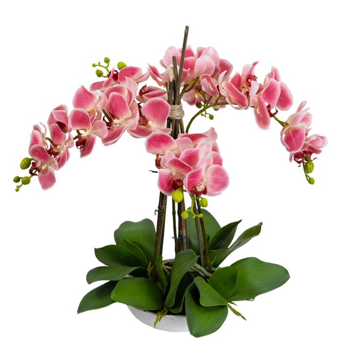 45CM PHALAENOPSIS ORCHID IN WHITE BOWL PINK