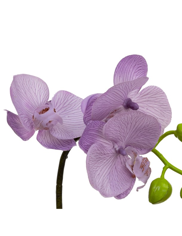 32CM ORCHID IN SQUARE GLASS LAVENDER