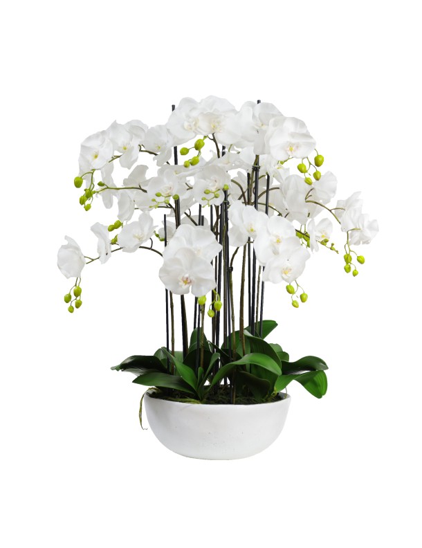 90CM POTTED ORCHID IN CERAMIC POT