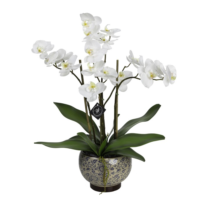 60CM ORCHID IN HAMPTON BOWL - LAST 2 PIECES