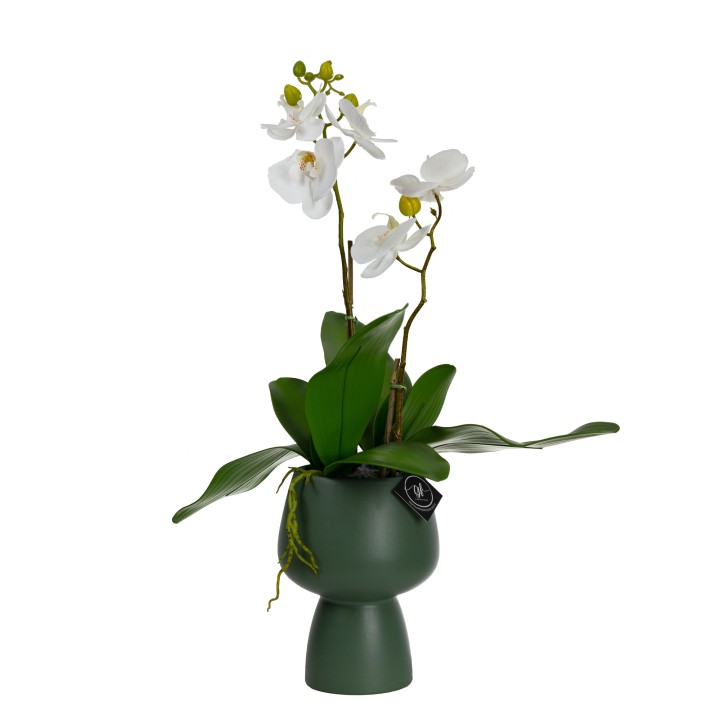 70CM ORCHID IN GREEN PEDESTAL VASE