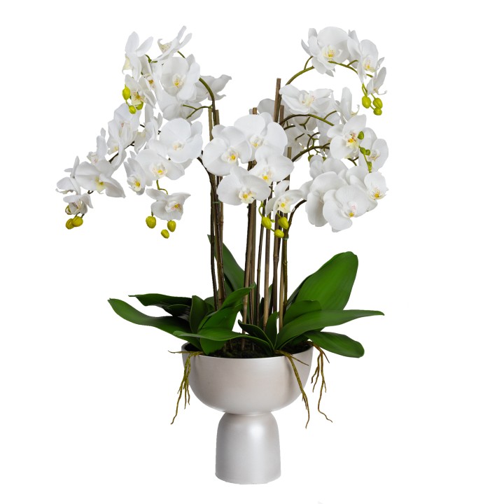 92CM ORCHID IN PEDESTAL VASE