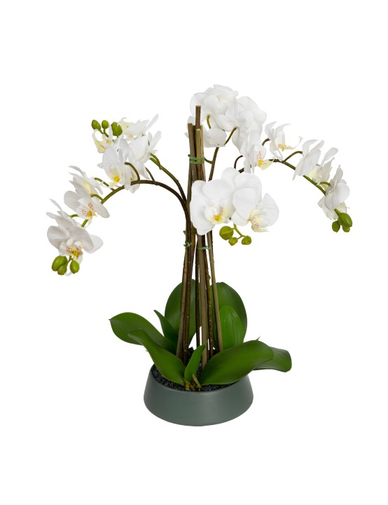 48CM ORCHID IN PEDESTAL BOWL