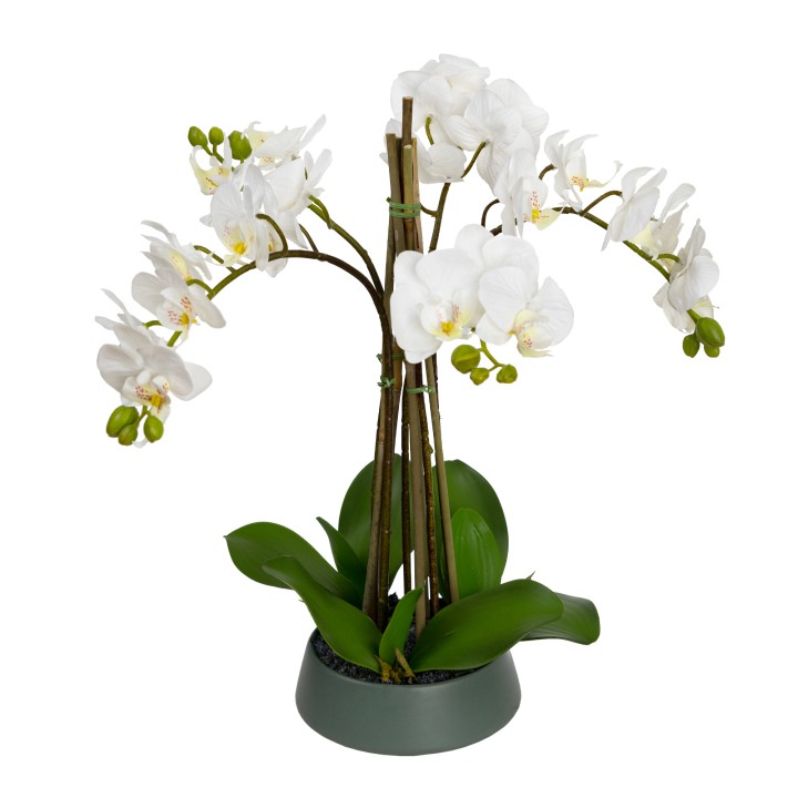 48CM ORCHID IN PEDESTAL BOWL