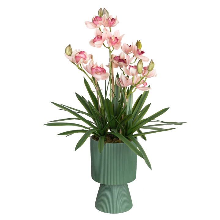 90CM CYMBIDIUM IN RIPPLE POT PINK