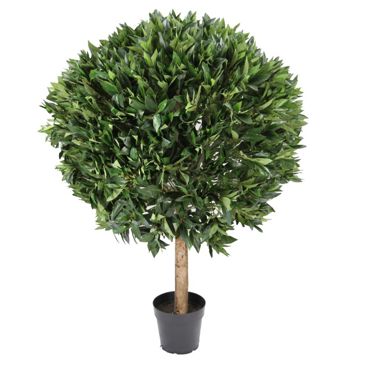 120CM BAY LEAF TOPIARY 