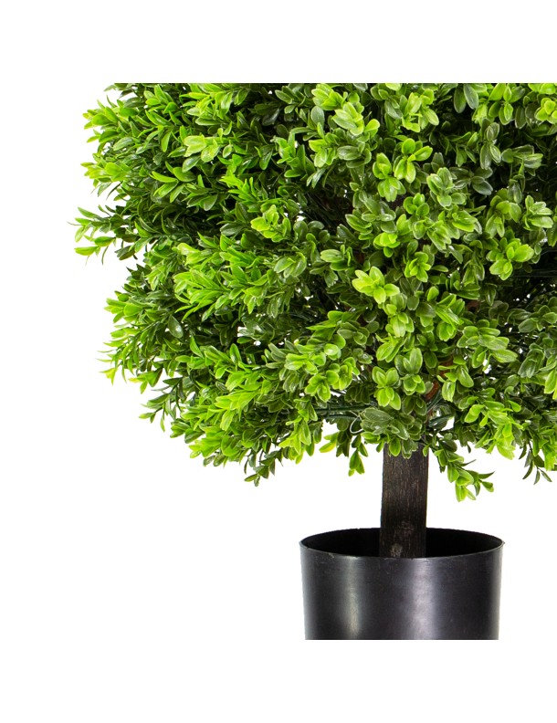 60CM NEW BOXWOOD BALL IN POT