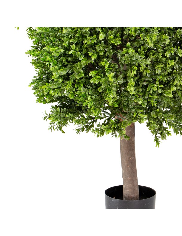 95CM NEW BOXWOOD BALL IN POT
