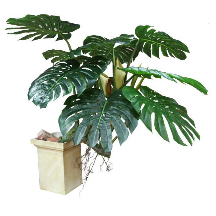 130CM BIG MONSTERA PLANT W/10LV 