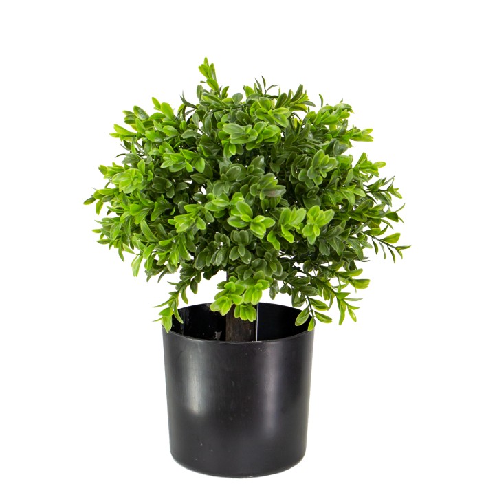 33CM BOXWOOD TOPIARY