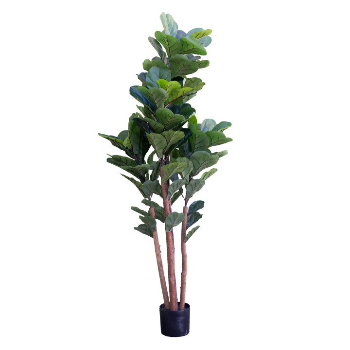 180CM FIDDLE TREE