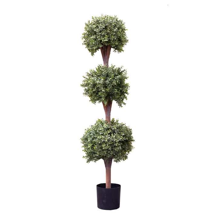 150CM TRIPLE BALLS BOXWOOD IN POT
