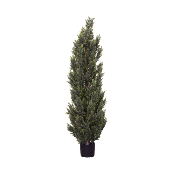 150CM CYPRESS PINE TREE