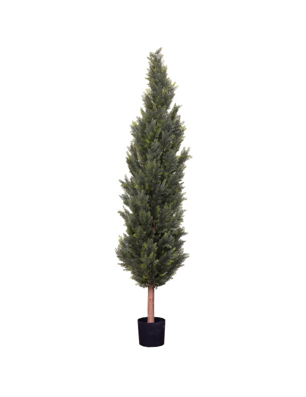 210CM CYPRESS PINE TREE