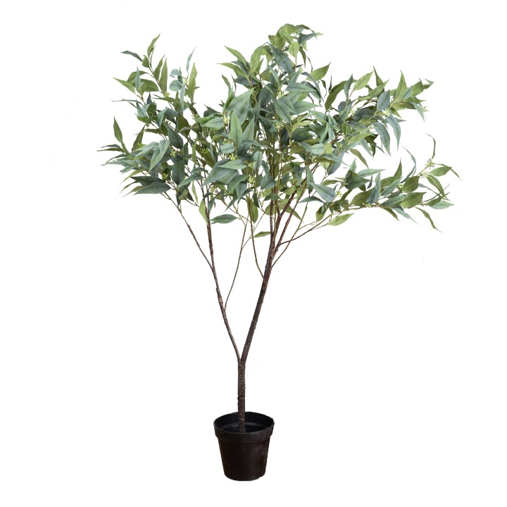 160CM EUCALYPTUS TREE