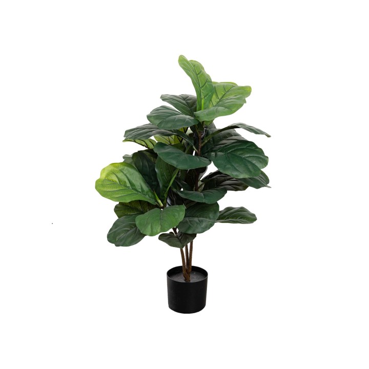90CM FIDDLE LEAF PLANT IN POT
