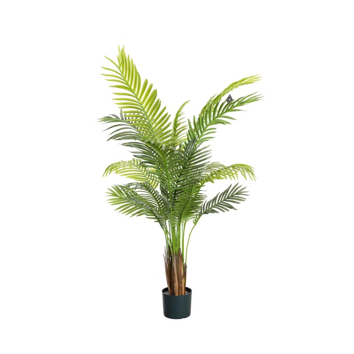 137CM ARECA PALM
