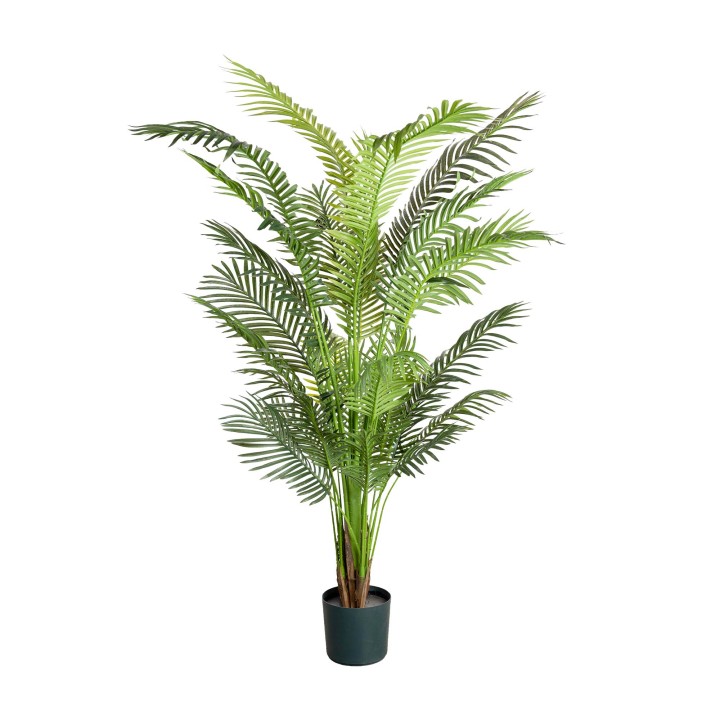 183CM ARECA PALM