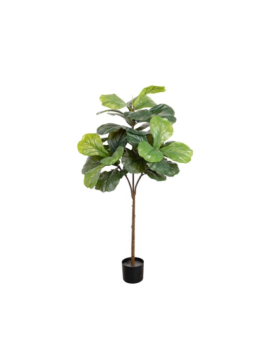 132CM FIDDLE LEAF PLANT