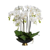80CM ORCHID IN BLK/GLD BOWL