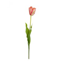 60CM REAL TOUCH TULIP