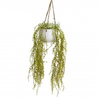 90CM CURLY WILLOW IN HANGING PLANTER - LAST 1PC