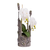 65CM ORCHID IN CEMENT